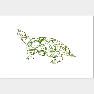 Knotted Turtle Posters and Art